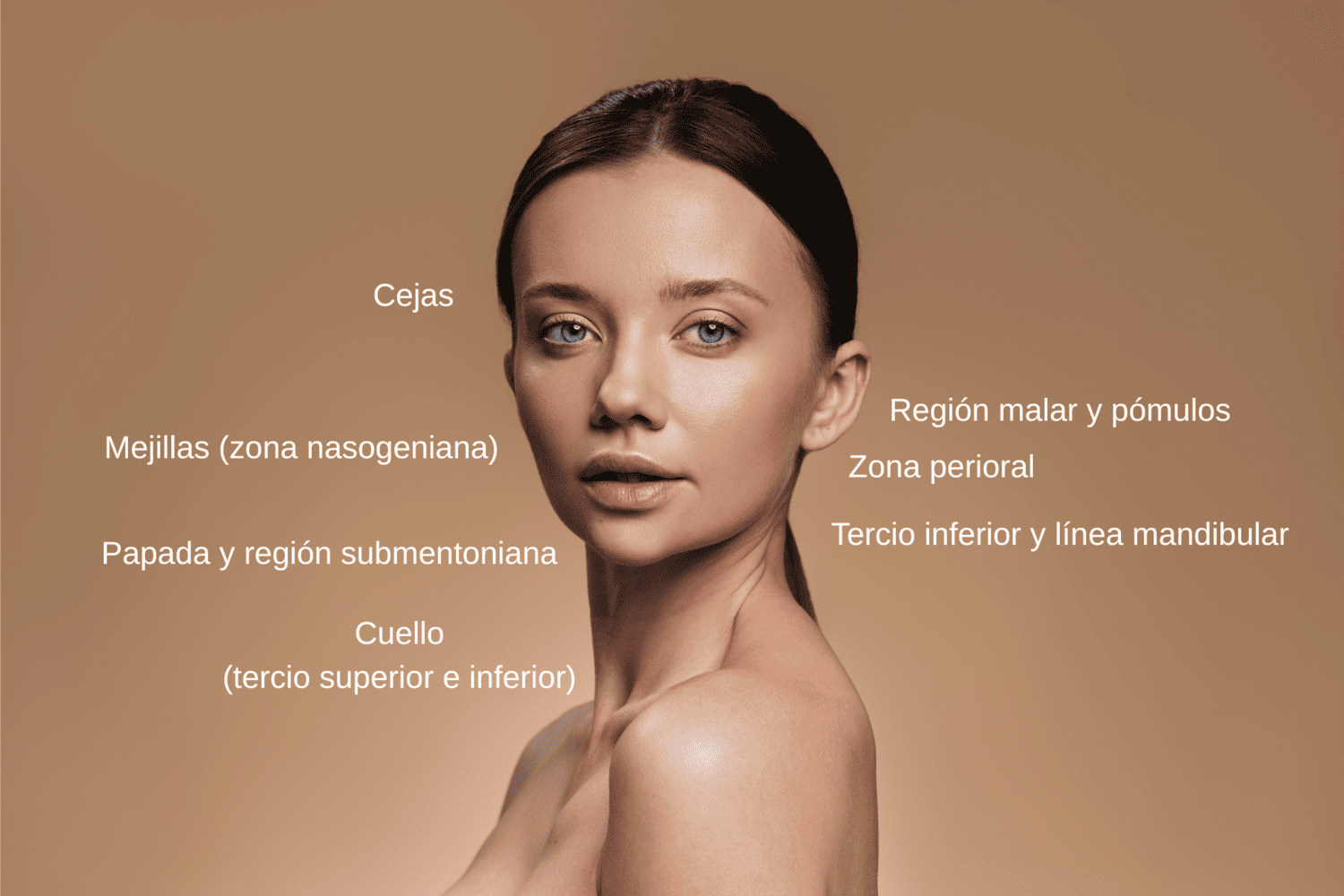 zonas tratamiento endolift facial