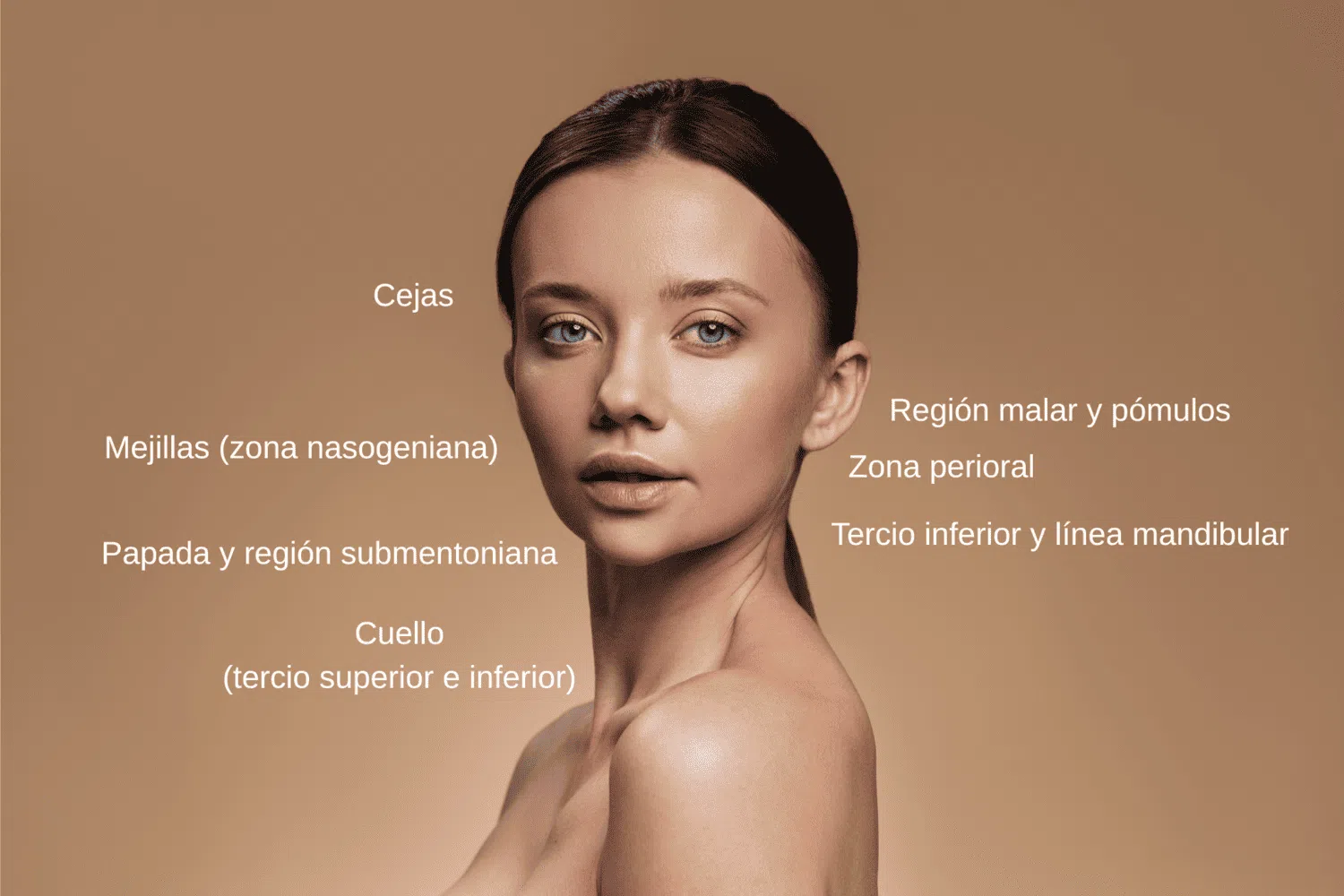 zonas tratamiento endolift facial